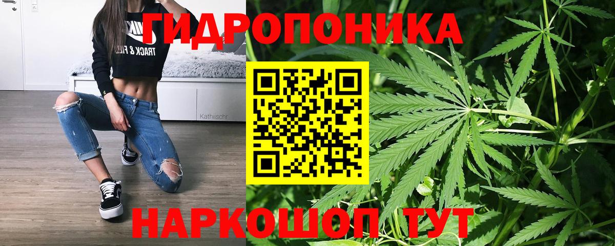 Шишки марихуана марихуана Муравленко